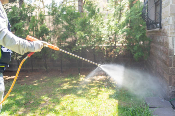 Best Termite Control Services  in St John, IN