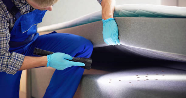 Best Bed Bug Extermination  in St John, IN