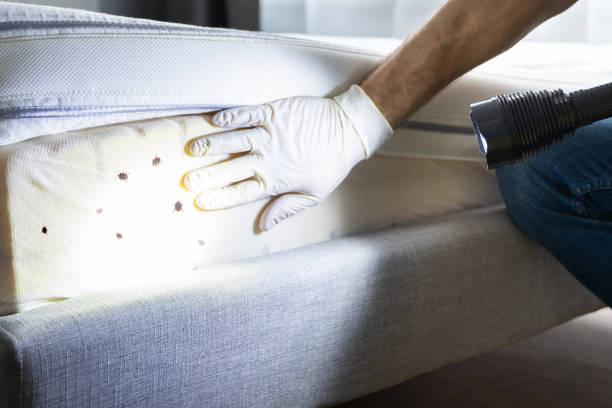 Best Pest Control Cost  in St John, IN