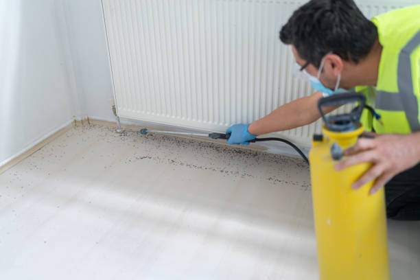 Best Ant Control Services  in St John, IN