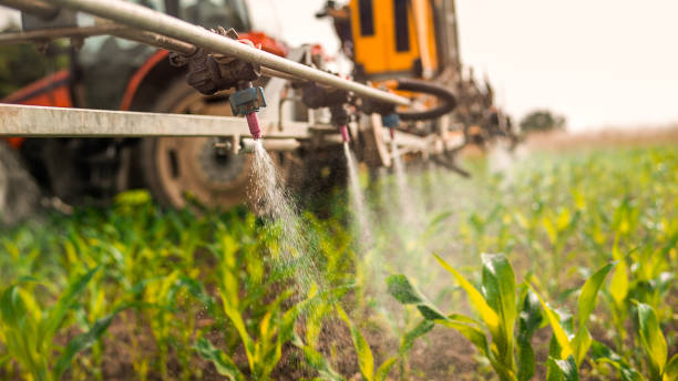 Best Commercial Pest Control Services  in St John, IN